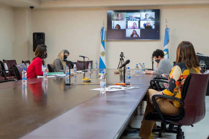 La comisión Especial avanzó en el análisis de las medidas cautelares dispuestas en casos de violencia contra la mujer