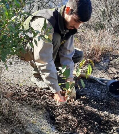 Personal de Guardaparques plantaron especies nativas en zona del Lago Meliquina
