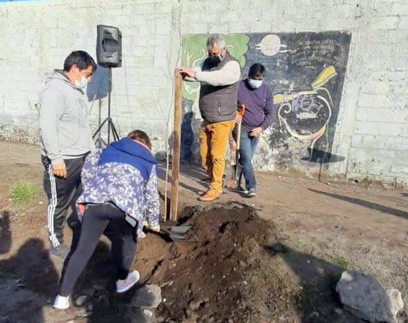 Se plantaron arboles en el ingreso al Estadio Municipal en homenaje al "Periodista Lucas Valdebenito”