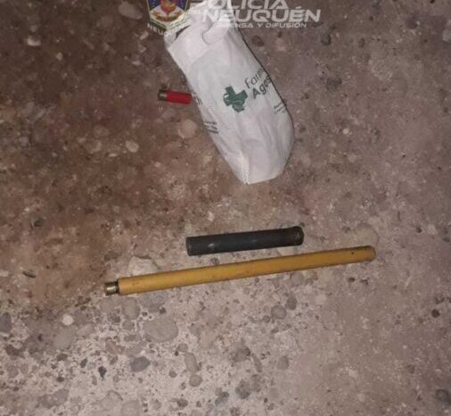 Cría 5ta: Tres demorados con un arma de fuego y municiones