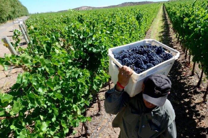 Un viaje por la Argentina a través de sus vinos