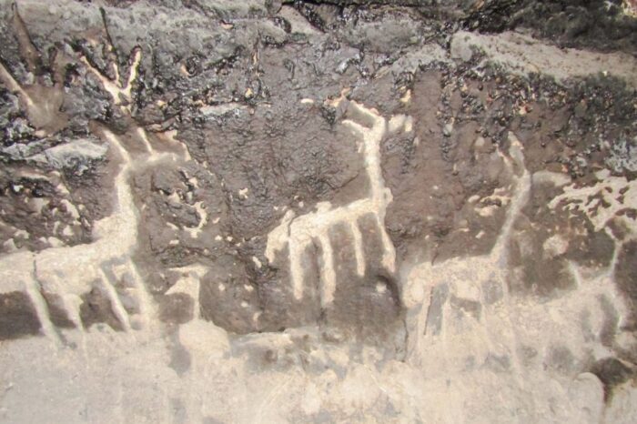 Hallaron dos cuevas naturales con presencia de arte rupestre cerca de Pilo Lil