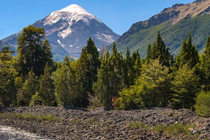 Se efectiviza el pago de incentivos forestales en varios rincones de la Provincia