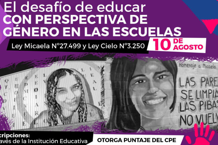 Leyes Cielo y Micaela: Educación brindará un trayecto formativo a docentes