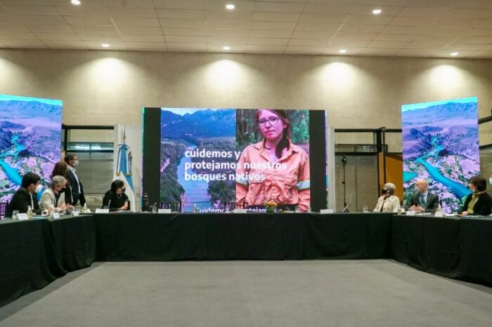 Neuquén participó del Consejo Federal de Ambiente