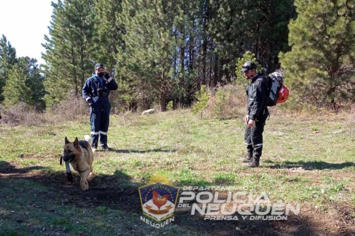 San Martín de los Andes: Personal policial logró hallar a un hombre que se encontraba con paradero desconocido