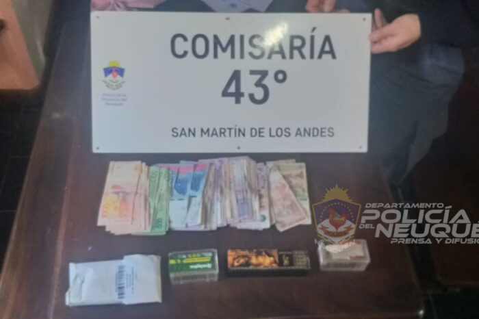 CRÍA 43°: Allanamiento con secuestro de armas de fuego, dinero en efectivo, municiones y un demorado