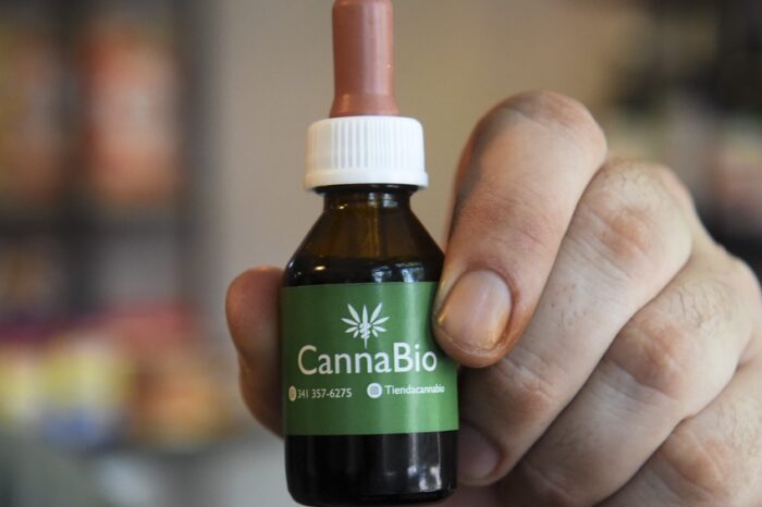 Avanza la formación en cannabis: comienza una diplomatura con aval oficial