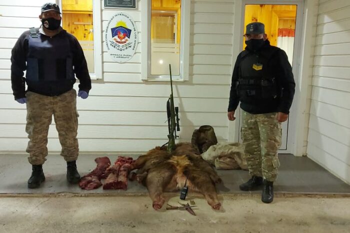 Furtivos: Atrapan a dos furtivos, secuestran carne de Ciervo Colorado, un arma larga, un vehículo y elementos de caza