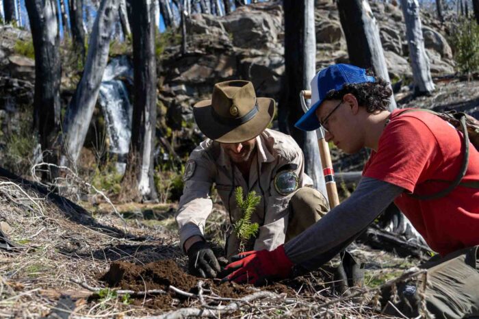 El PN Lanín realizó dos importantes acciones en el “Dia de la Conciencia Ambiental”