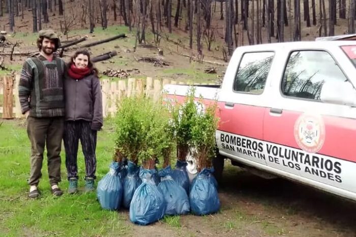 San Martin de los Andes: Bomberos Voluntarios entregan de plantines en el Paraje Golondrinas