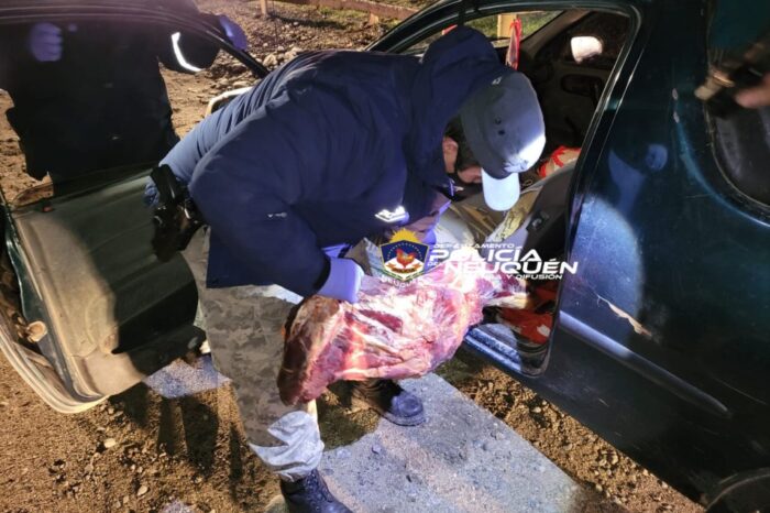 Junín de los Andes: Secuestraron carne faenada e investigan un vacuno abatido en zona de Alicurá