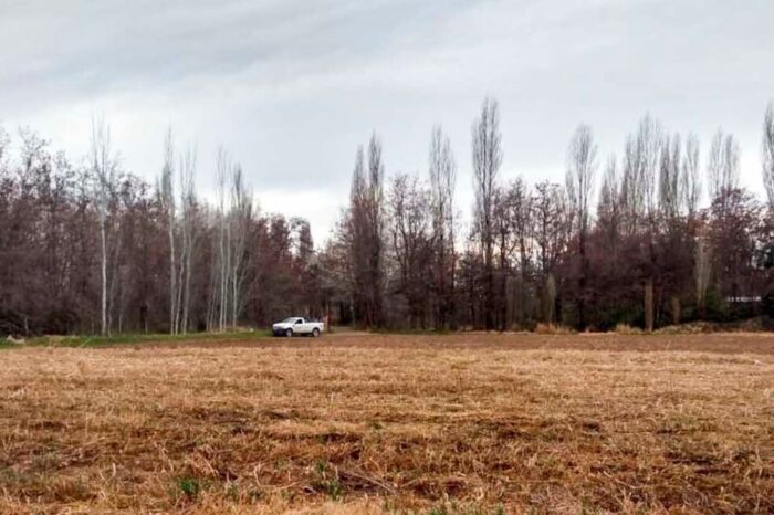 Convocan a productores afectados por la sequía