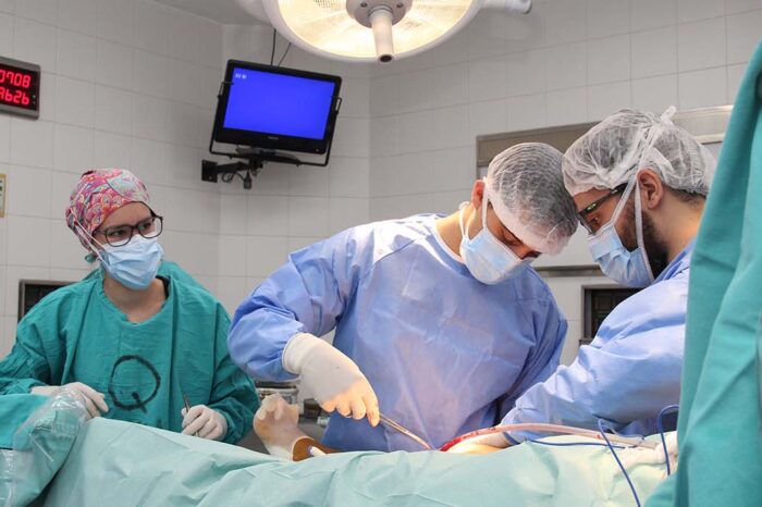 Actualmente son 244 los residentes de Salud que están en formación en la provincia