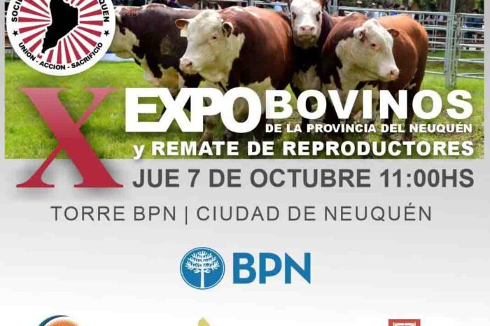La Sociedad Rural lanza este jueves la Décima Exposición de Bovinos de Neuquén