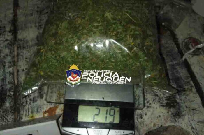 Villa la Angostura: Recuperan elemento robado y secuestran droga tras allanamiento