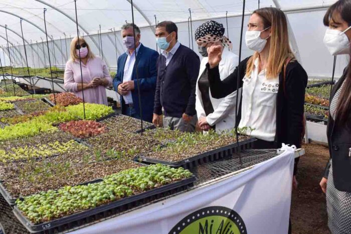 Inauguraron en Ciudad Deportiva de Neuquén el invernadero más grande de la Confluencia