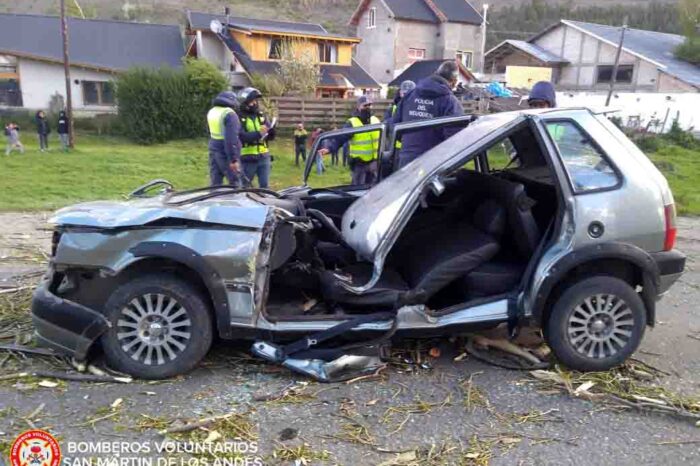 Milagro en la Ruta 40, les cayo un gran álamo sobre el automóvil en que se movilizaban y solo sufrieron escoriaciones