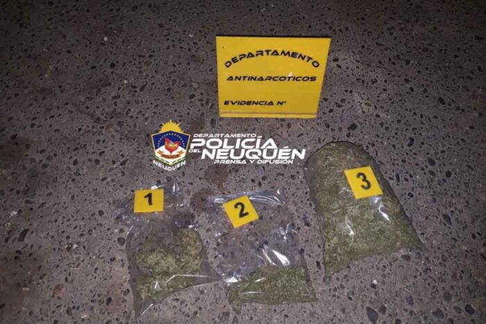 Secuestraron Cannabis Sativa