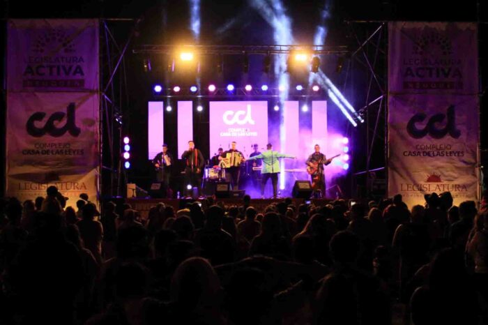 La Legislatura apuesta al fortalecimiento de los artistas neuquinos a través de Música Activa