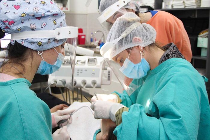 La guardia activa odontológica de la provincia cumple 10 años