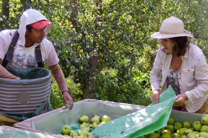 Inscriben al Programa de Promoción de la Sanidad y Calidad Frutihortícola