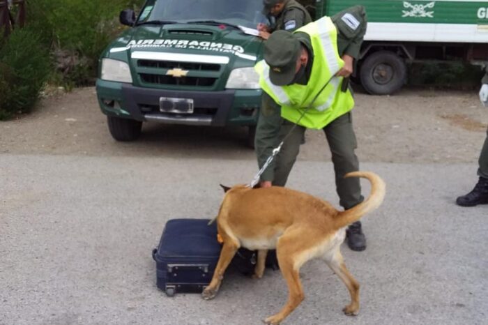 Gendarmería secuestró marihuana en un control rutinario