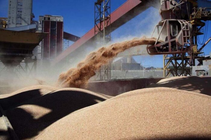 El valor de la próxima cosecha podría alcanzar el récord de US$ 36.500 millones