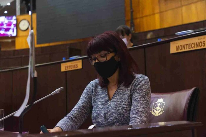 Rechazan calificación de terrorismo a los reclamos del pueblo mapuche