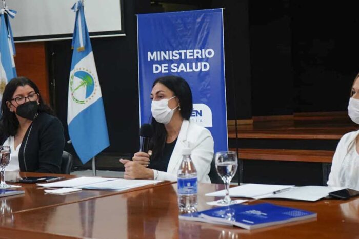 Finalizó el primer Encuentro Neuquino de Políticas Sanitarias
