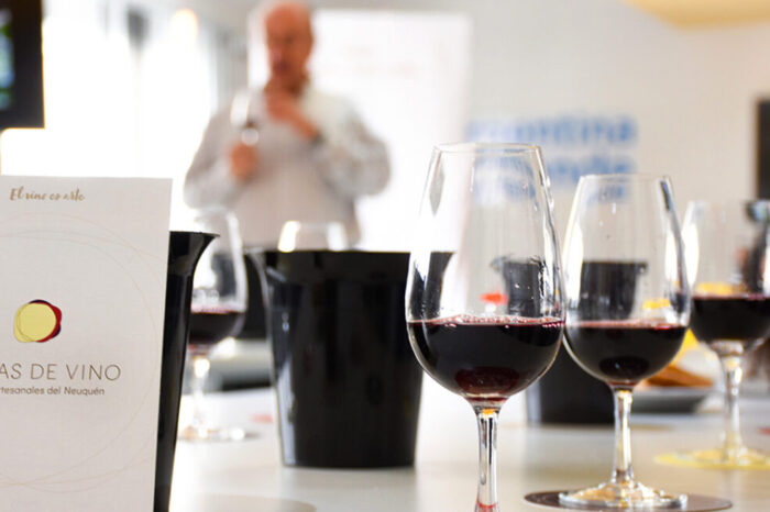 Neuquén participará de las Jornadas Nacionales de Turismo del Vino en San Juan