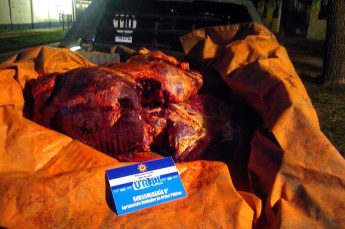 Decomisan carne vacuna, se investiga si fue producto de un hecho ilícito