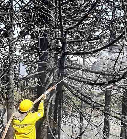 El fuego en Ruca Choroy se encuentra Circunscripto