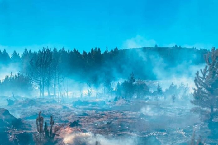 Comunicado (26-12-21, 21:30 hs.) Incendio el Lote 39 – Quillén