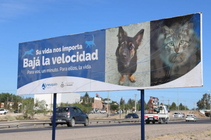Instalaron carteles viales para el cuidado de animales en Neuquén