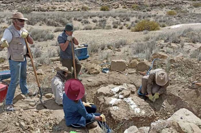 Rescatan fósiles de dinosaurio en una campaña cerca de Las Lajas
