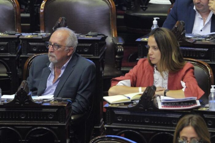 Diputados aprobó las modificaciones a Bienes Personales propuestas por el Frente de Todos
