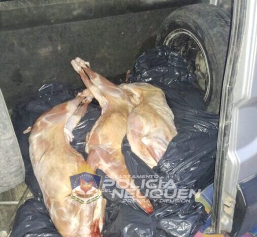 Personal Policial de Añelo secuestraron más de 20 caprinos faenados de manera clandestina
