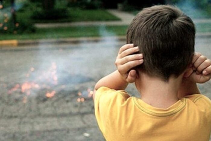 La pirotecnia provoca afectaciones emocionales, físicas y medioambientales