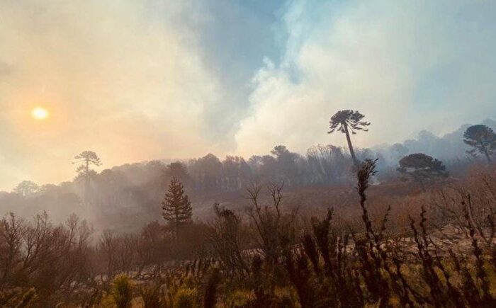 ¿Cómo fue la trágica caída del helicóptero en Quillén?