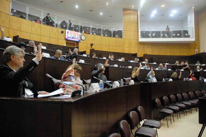 El Parlamento Patagónico a favor de impulsar la marca “Hecho en la Patagonia” y mejorar la conectividad de la región