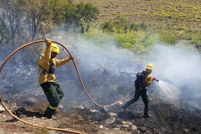 Corto circuito provocó corte total en Junín de los Andes y un incendio forestal, el cual fue rápidamente sofocado por los Brigadistas