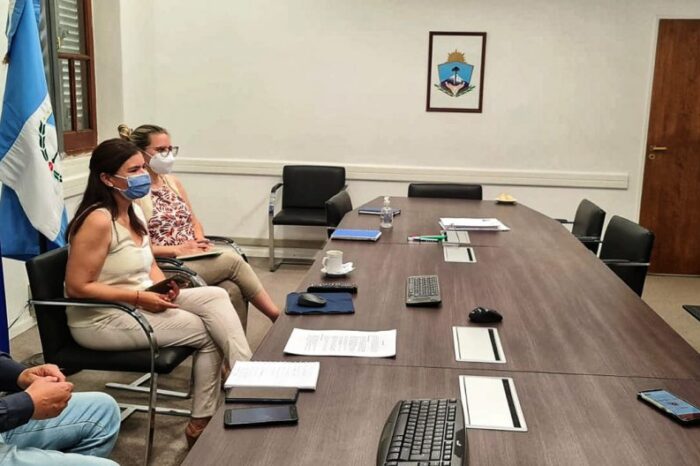 Neuquén fortalece el trabajo con el Sinagir para la emergencia ígnea
