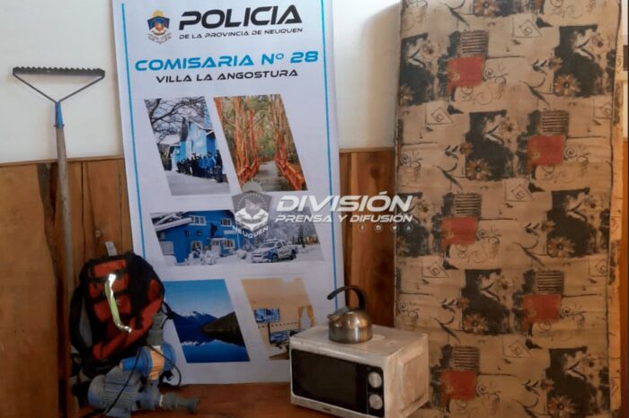Villa La Angostura: Hombre demorado por presunto robo