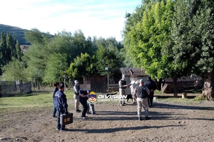 Junín de los Andes: Secuestran un arma de fuego en allanamiento