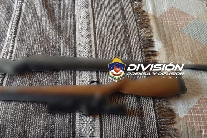 Junín de los Andes: Secuestran armas de fuego y municiones en allanamiento