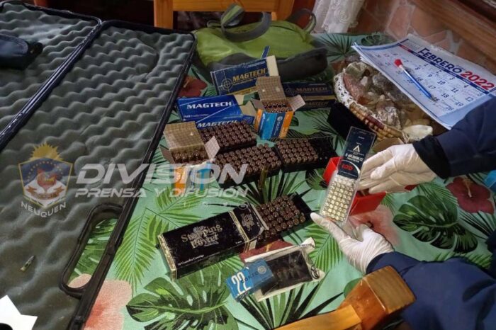 Villa Traful: Secuestran armas, municiones y un demorado en allanamiento