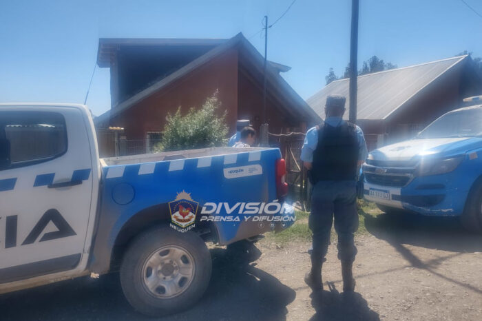Personal de Cría. 43°, en allanamiento demoró al autor de un robo