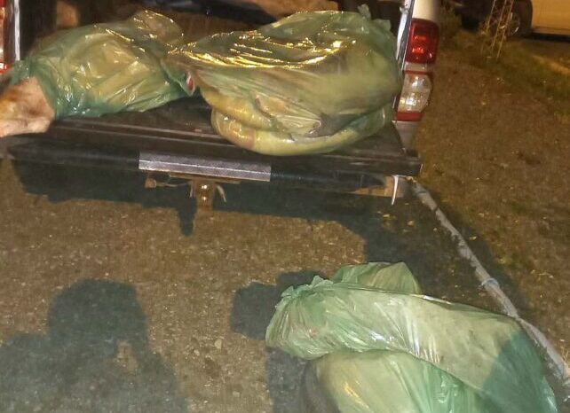 Demoran a un hombre que transportaba carne vacuna de dudosa procedencia
