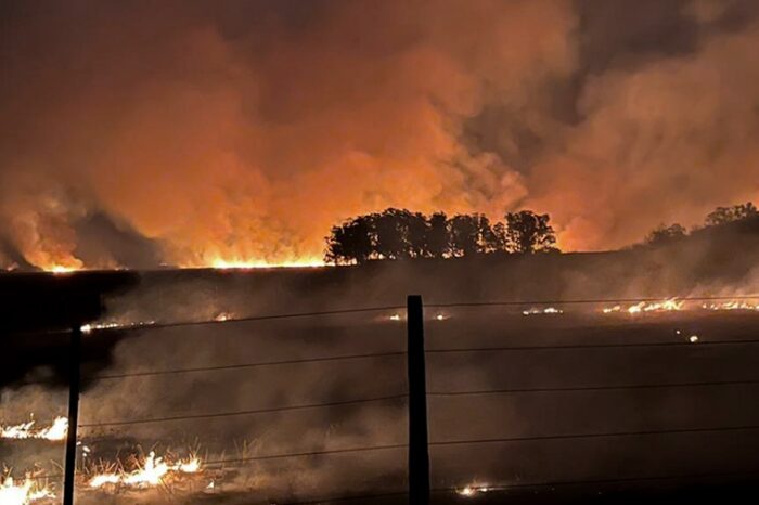 El INTA estimó que se incendió el 9% del territorio correntino